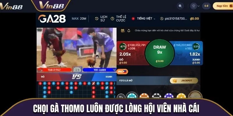 Chọi gà Thomo luôn được lòng hội viên nhà cái